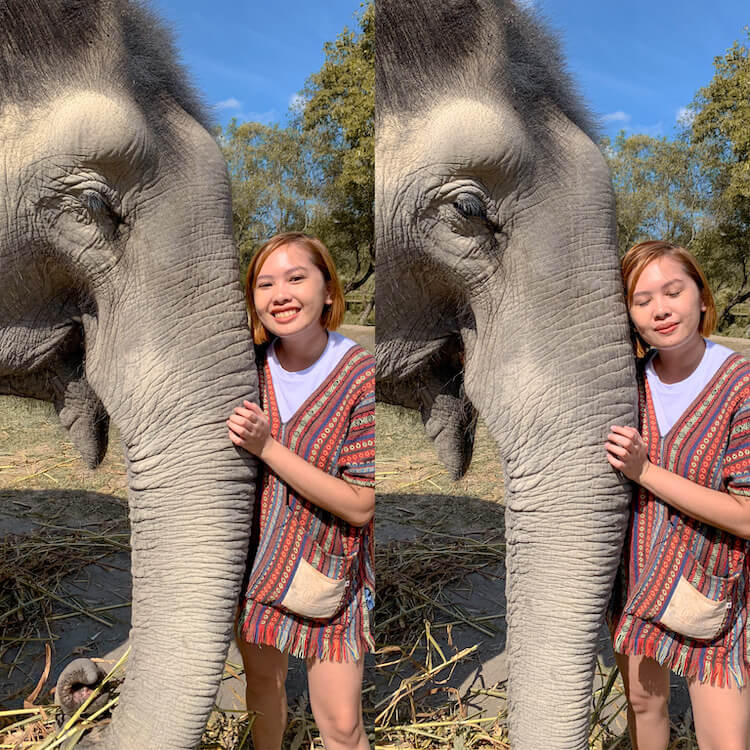 Happy Kwe + elephant