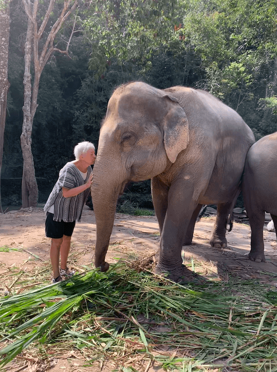 a tourist kissing an elephant