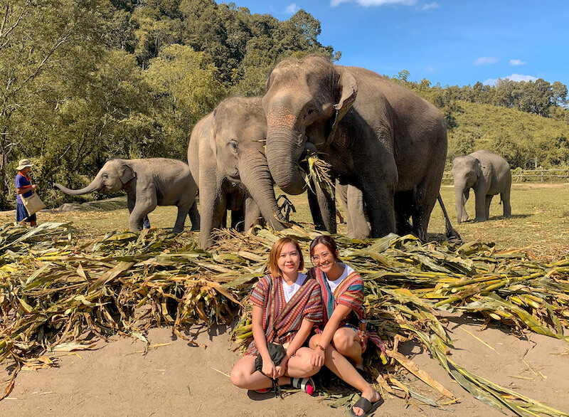 Kwe and Mariel with elephants eating in the background