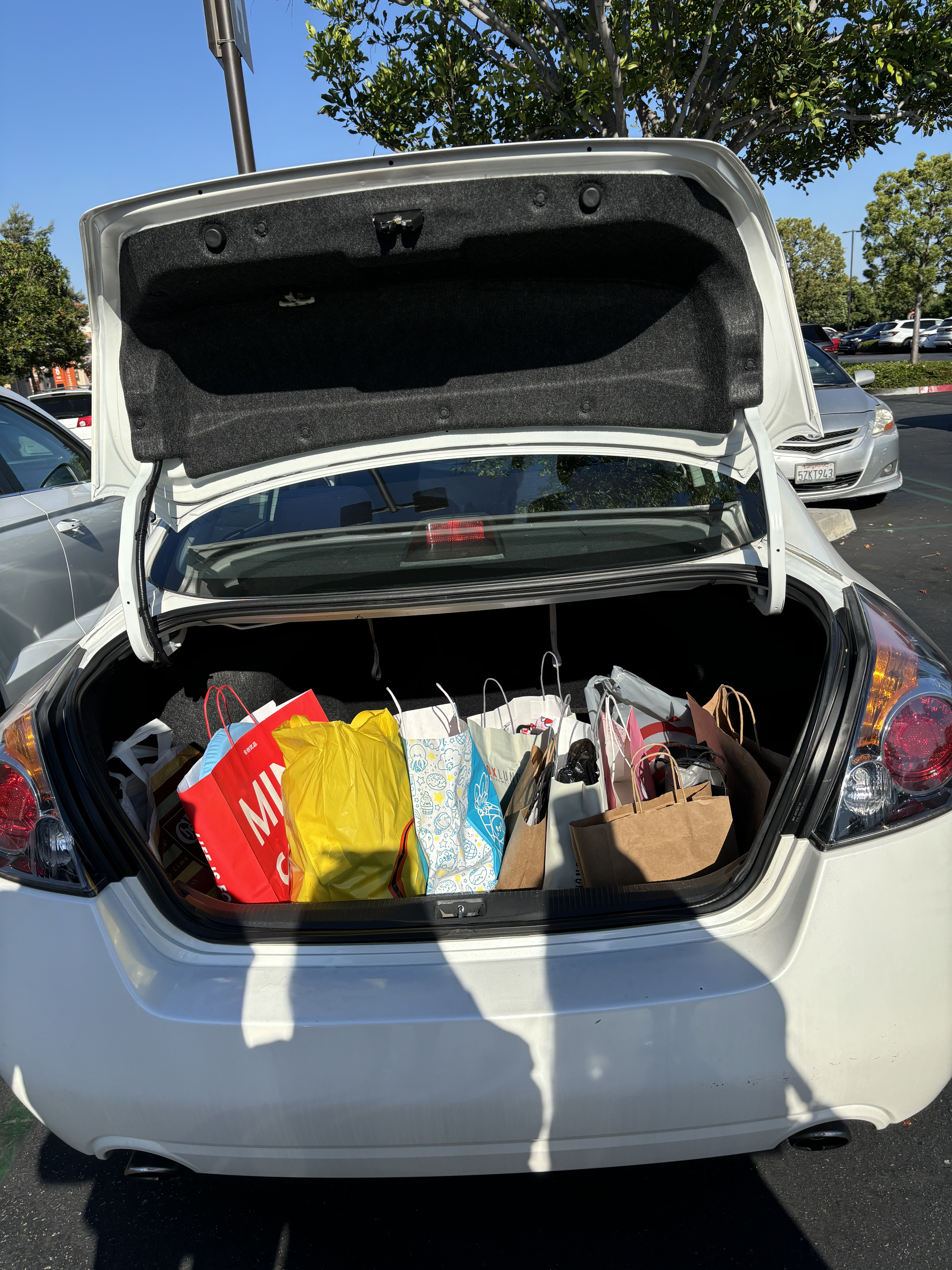 Shopping bags in our car's trunk