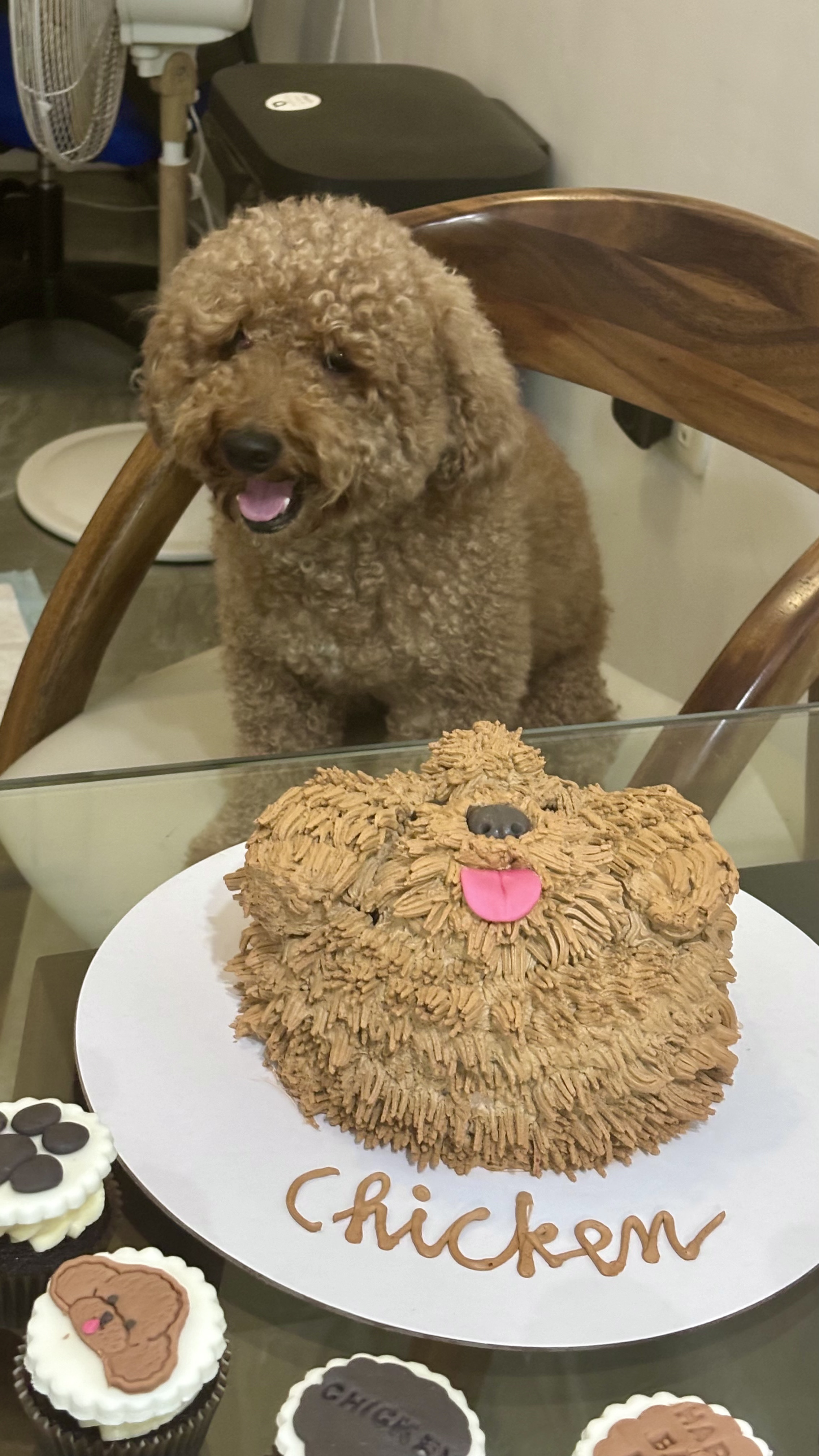 Chicken's 3rd birthday