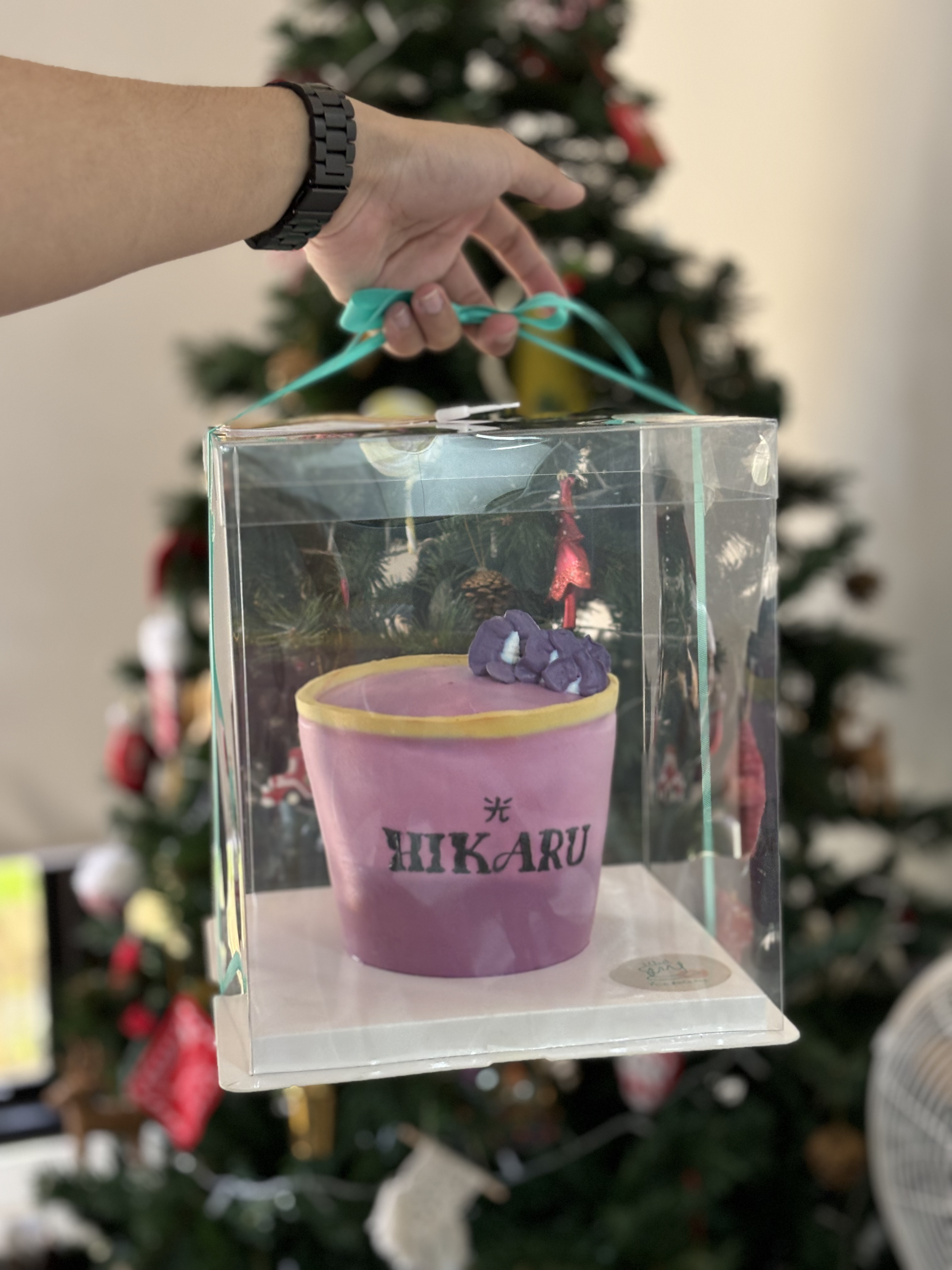 Hikaru cake by @caketales