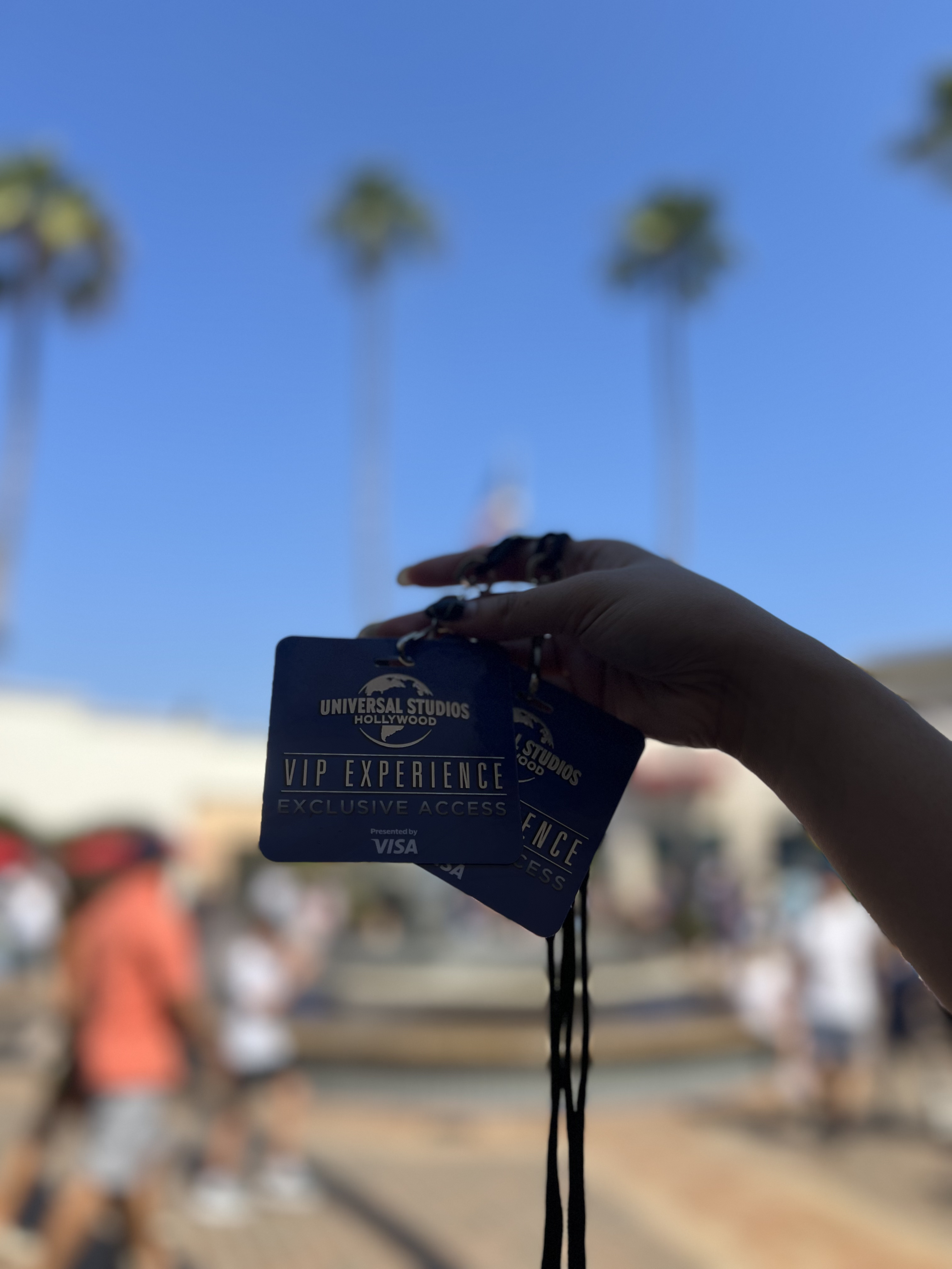 VIP @ Universal Studios, California