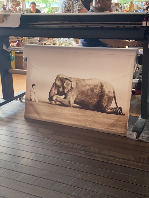 Elephant painting