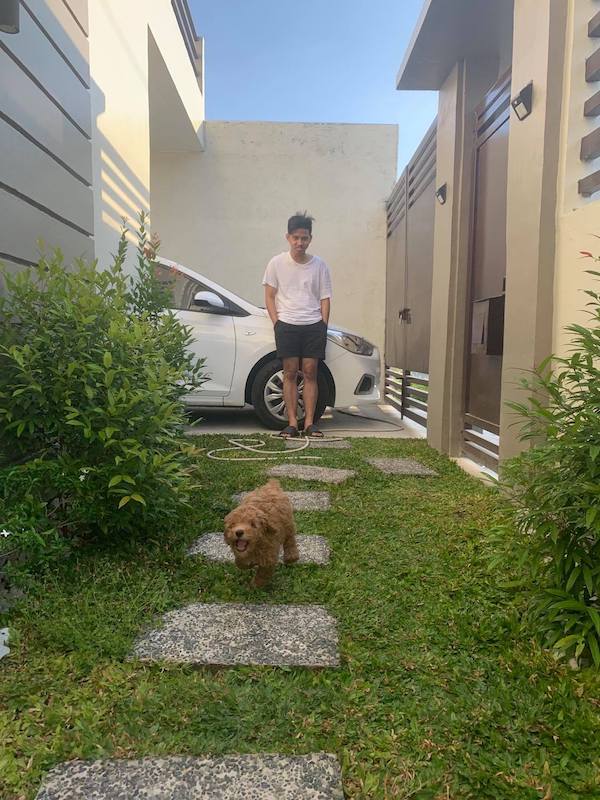 play time with Chicken the poodle puppy